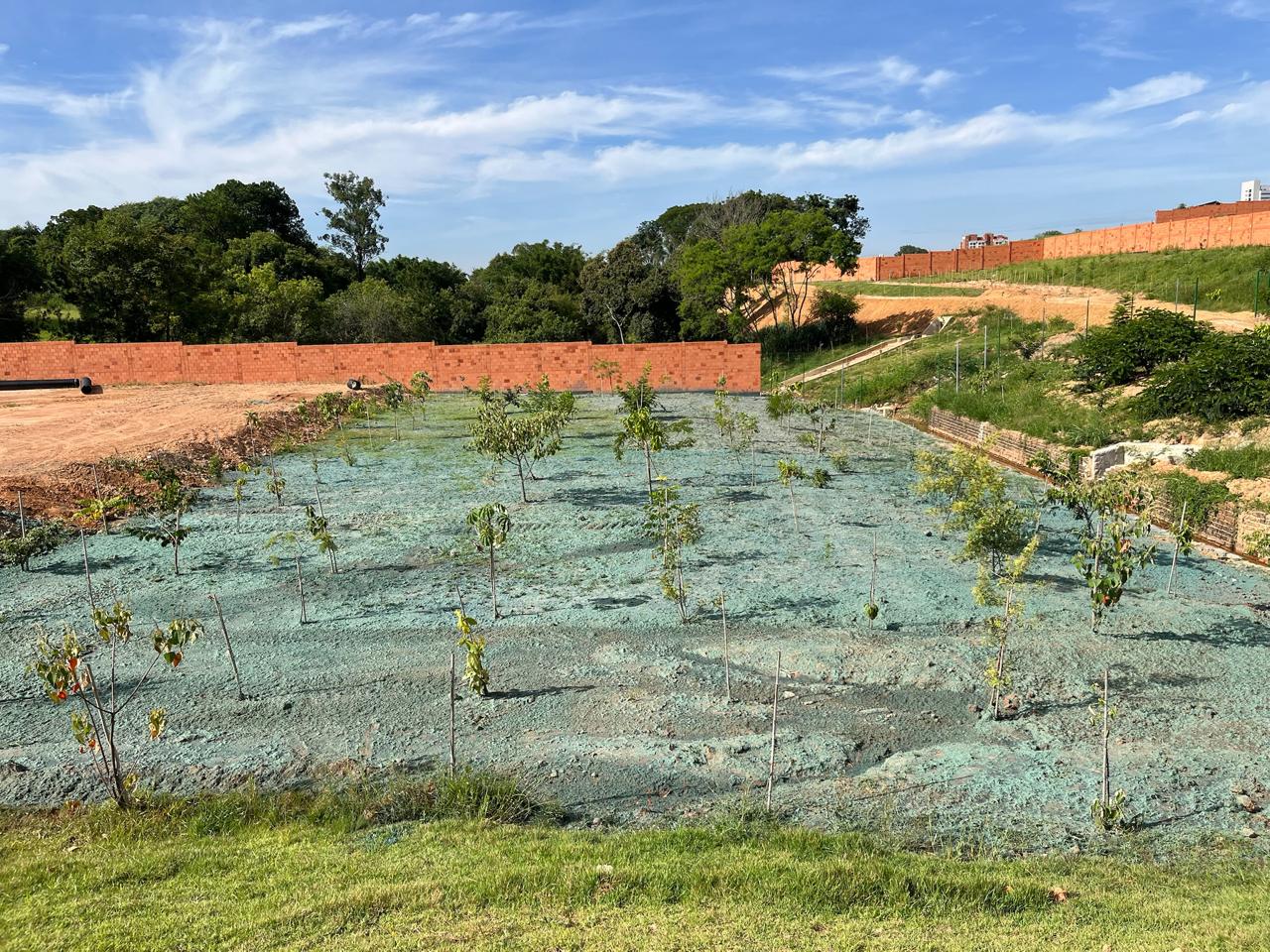 Vista geral de área revegetada com hidrossemeadura em condomínio