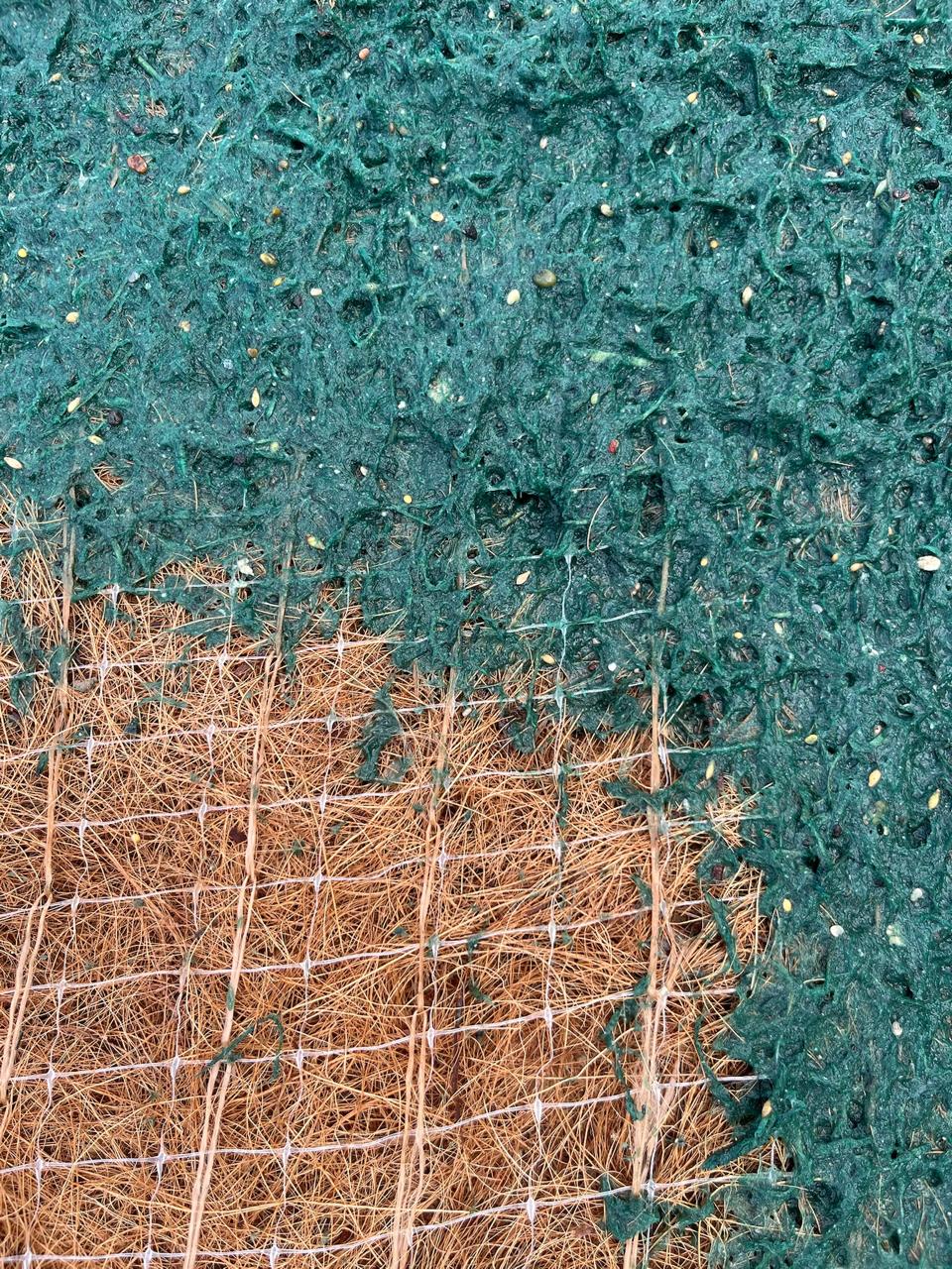 Detalhe da malha da biomanta com sementes germinando